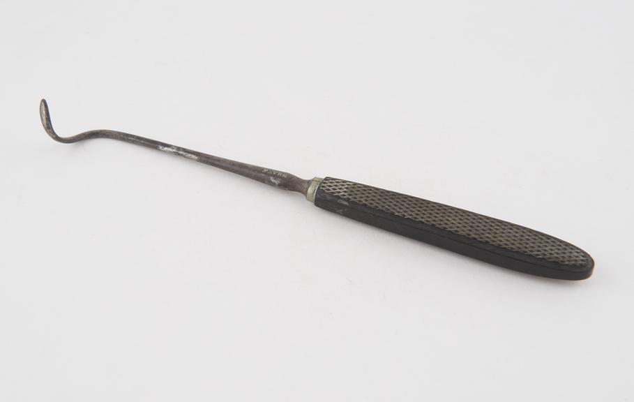 Hernia nedle, steel and ebony, by Favre, France, 19th century