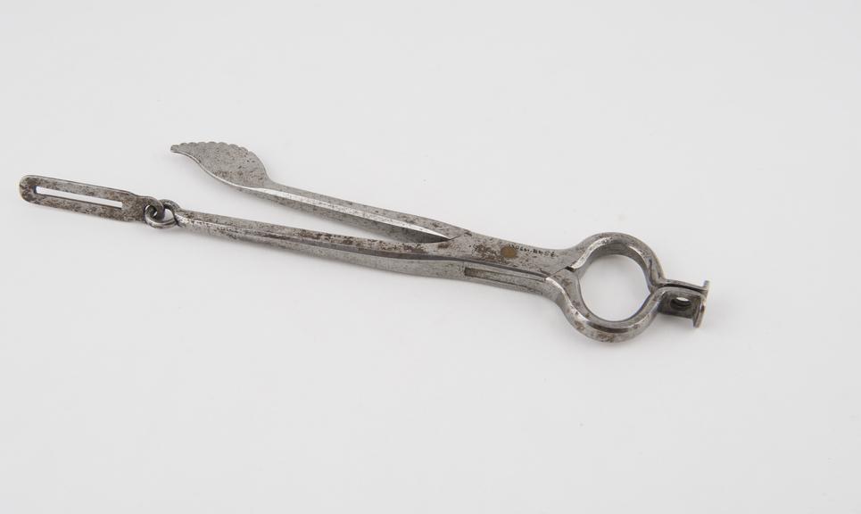 Seton clamp, steel, 1781-1820