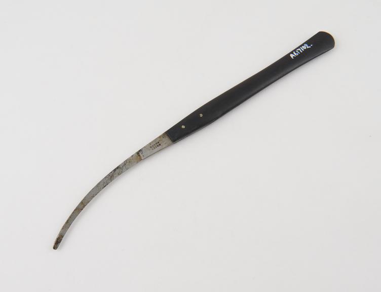 Bistoury, steel and ebony, curved and probe-ended