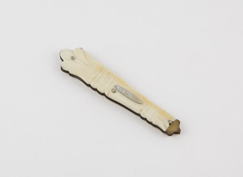 Bistoury, steel, folding, in ivory sheath, English, 1750-1850