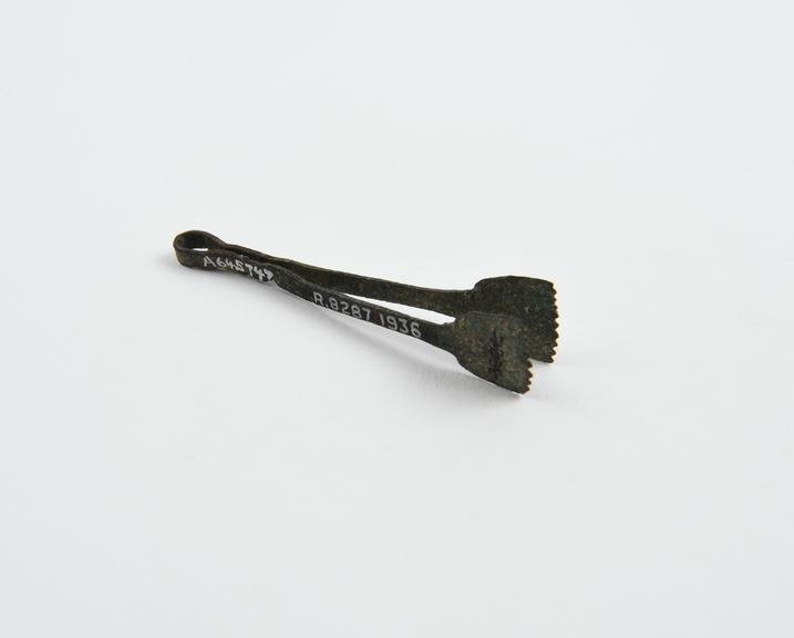Forceps with serrated ends, bronze, Graeco-Roman