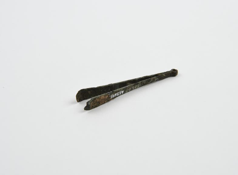 Depilatory forceps, bronze, Roman, from Sforza collection