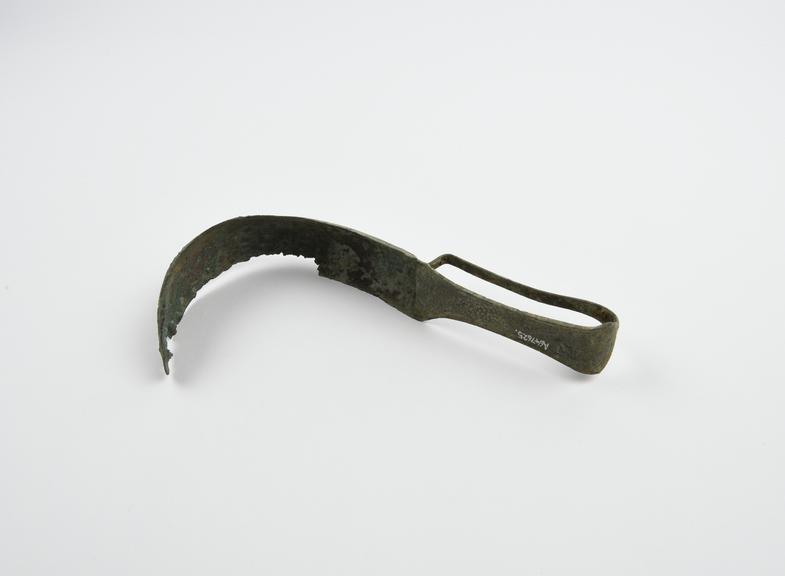 Strigil with animal engraved on handle, bronze