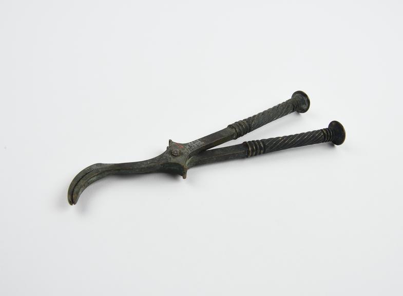 Copy of Roman bone forceps, brass and plaster