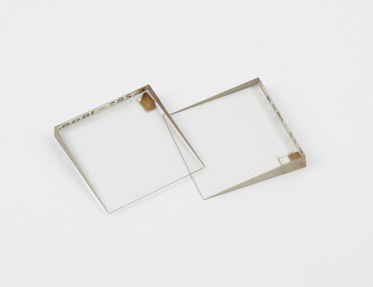 Two prisms, of crown and plate glass respectively