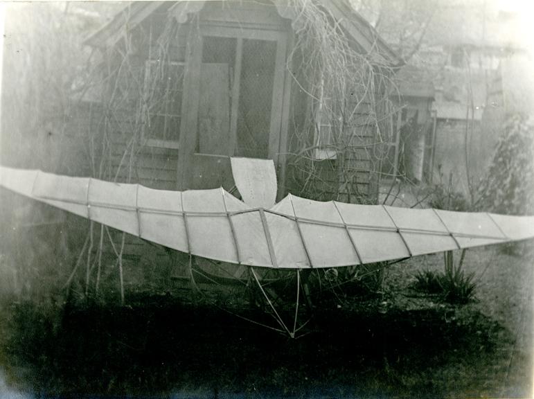 Monoplane - Top Front View in Garden