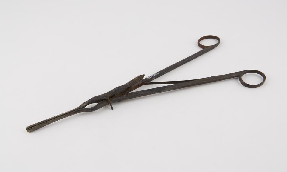 Buck's uterine dilator, nickel-plated steel, probably English