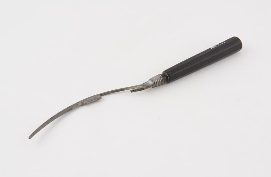 Bistoury, curved and probe-ended, steel and ebony, 19th century