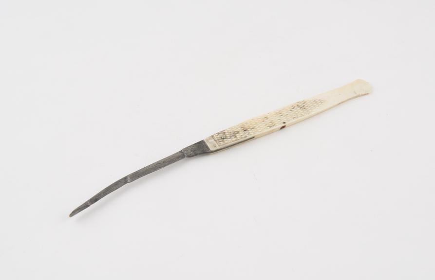 Hernia bistoury, steel and ivory, by Ferguson of London