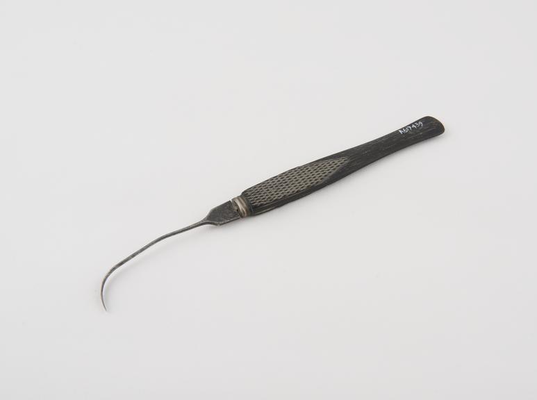 Naevus needle, 19th century, steel and ebony