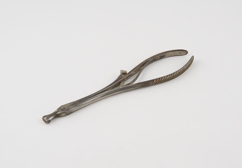 Needle holder, automatic catch, 1871-1900