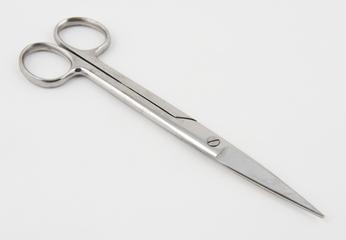 Pair of dissecting scissors