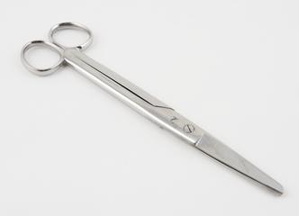 Pair of dissecting scissors