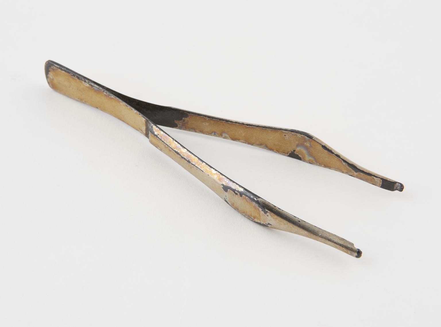Combined dissecting and needle-holding forceps | Science Museum Group ...