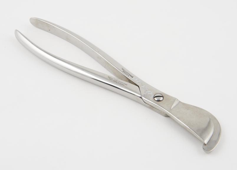 Pollock's rib shears, stainless steel, made by Bell and Croyden