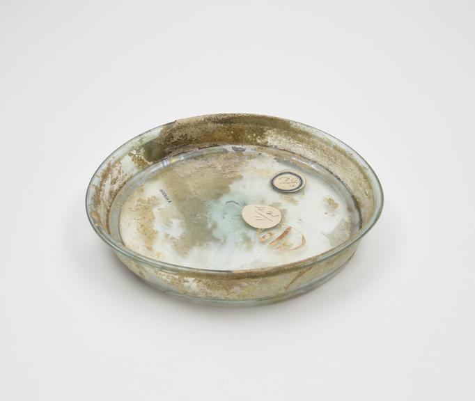 Glass dish, Roman, 1 to 150 AD