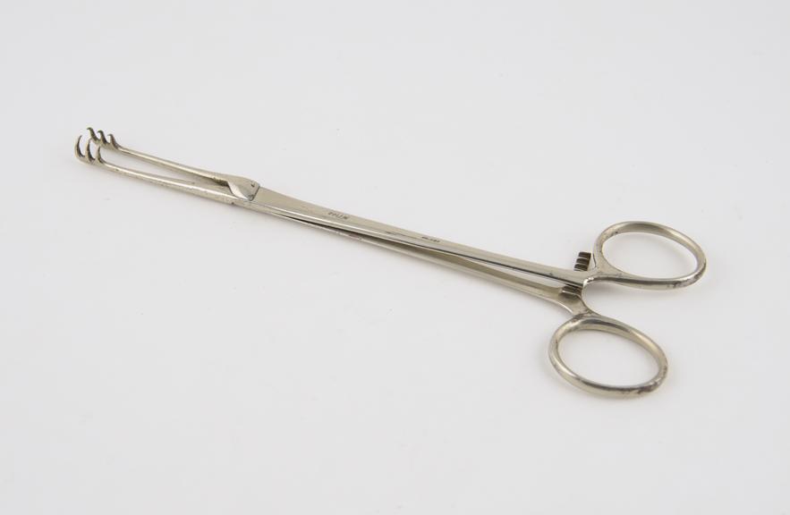 Tonsil forceps, Escat, steel, by Collin of Paris