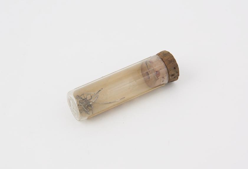 Suture clips, metal, in glass phial, probably British, 1880-1920