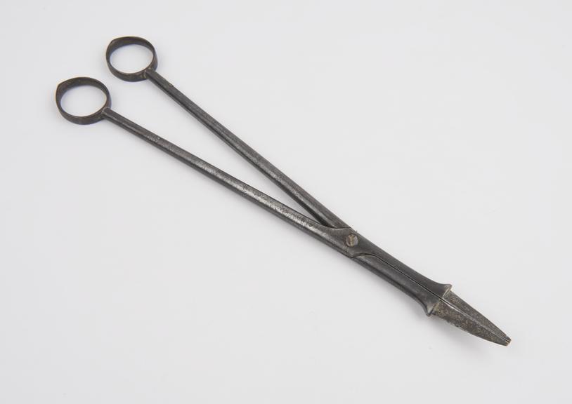 Perforator, Denmans' by Simpson, nineteenth century, steel