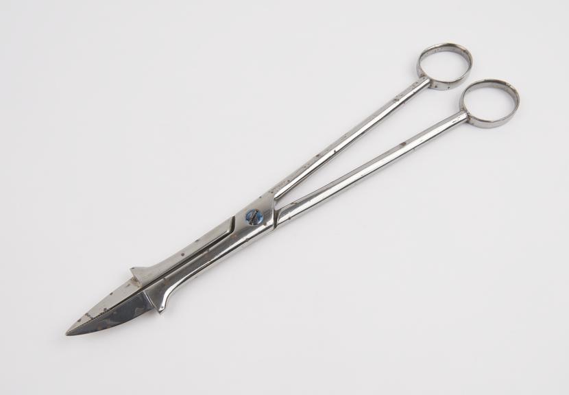 Perforator, Denman's by Savigny and Co