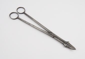 Perforator, Denman's, by Read