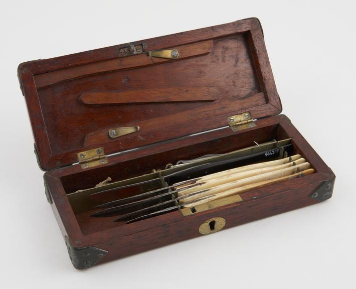 Dissection instrument set, cased, English, 19th century