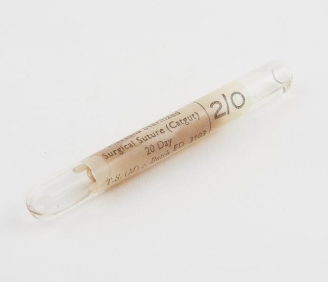 Ampoule of sterile catgut suture, by Merson, British