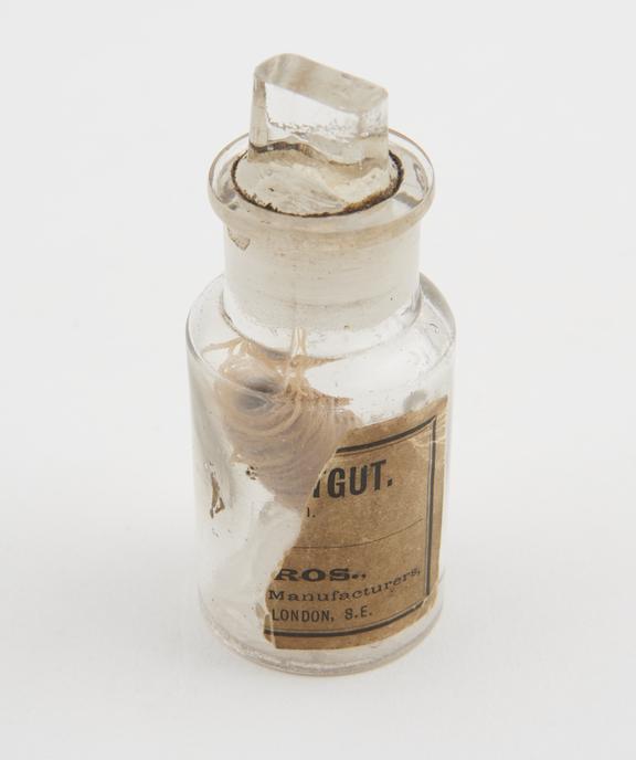 Catgut ligature in glass jar, made in London, 19th century