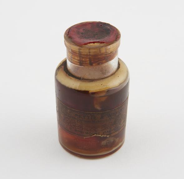 Bottle of sterile catgut ligature, by Pettie and Whitelaw