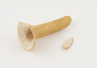 Wooden vaginal speculum