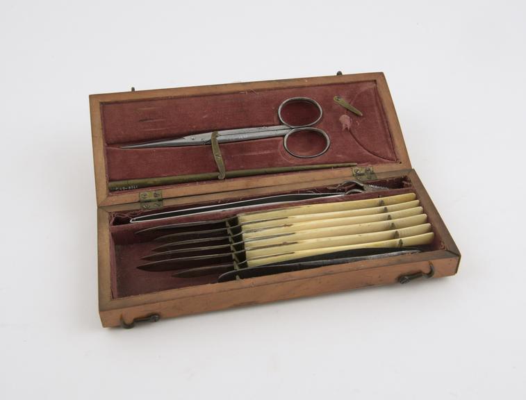 Post mortem dissecting set with ivory handles