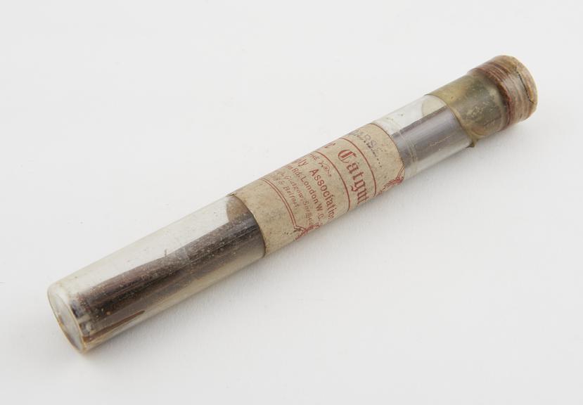 Tube of sterile catgut ligature