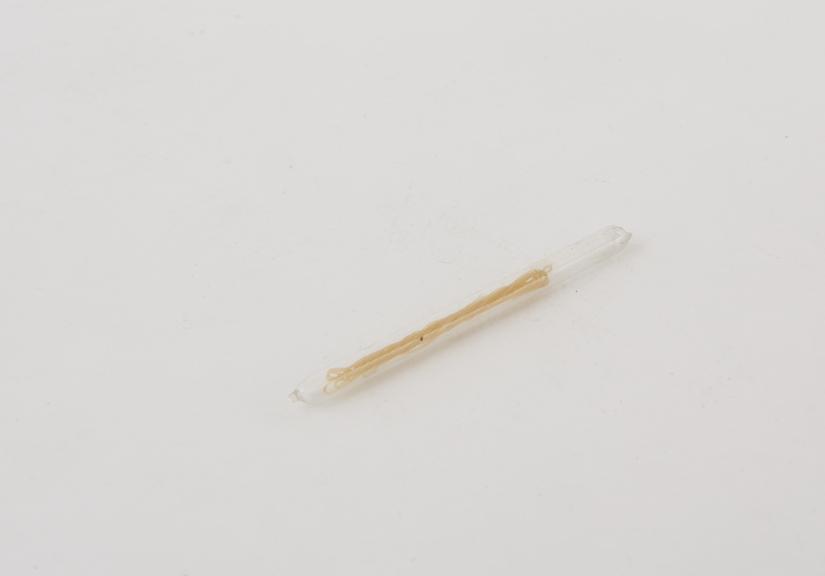 Glass ampoule containing suture