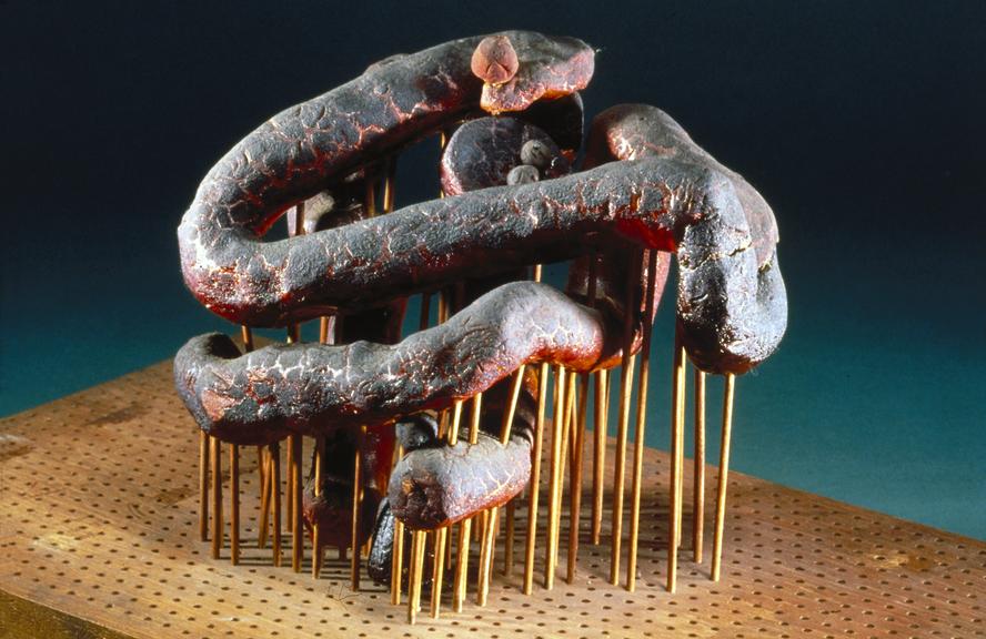 Kendrew's original model of the myoglobin molecule
