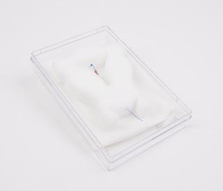 Foam model of uterus with a GyneFix IUD in position