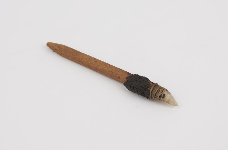 Knife with shell blade attached to wooden handle by gum and