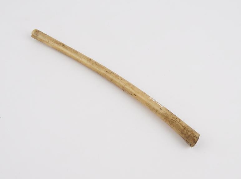 Nose pin, consisting of piece of bone, curved