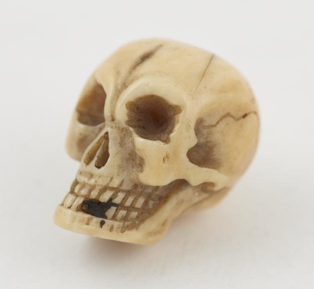 Ivory model of a human skull