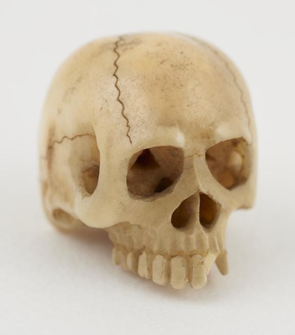 Ivory model of a skull, complete with some teeth