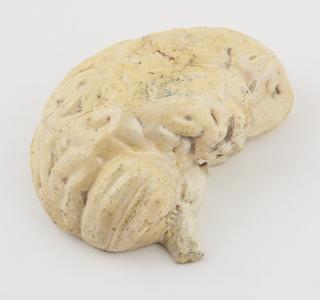 Plaster copy of a human brain, right hemisphere