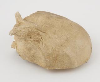 Plaster cast of skull fragment