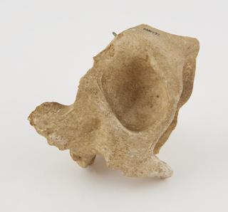 Plaster cast of skull fragment