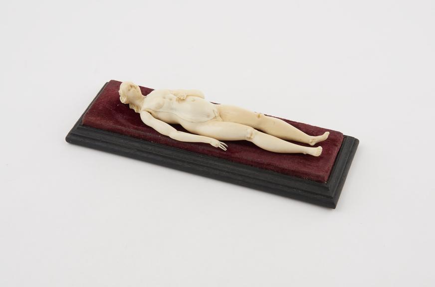 Ivory anatomical figure, a pregnant female