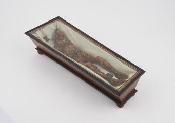 Wax model of a decomposing body in a walnut coffin, Italy, 1774-1800