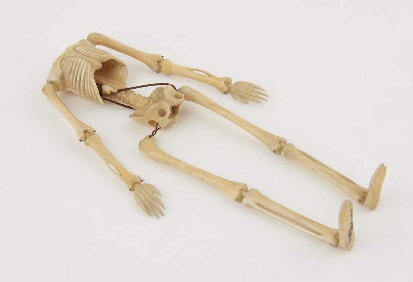 Ivory model of a skeleton, articulated, possibly 17th century