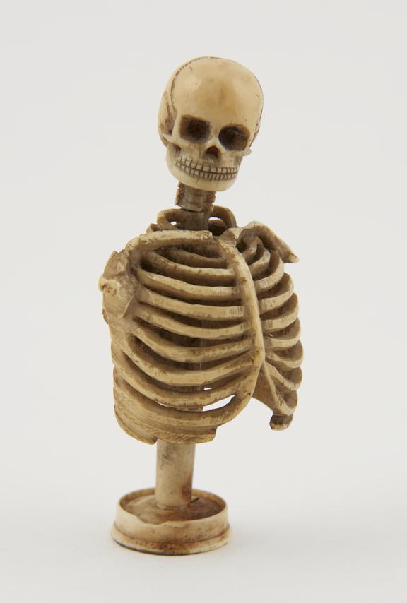 Ivory model of part of a skeleton, rib cage and head only