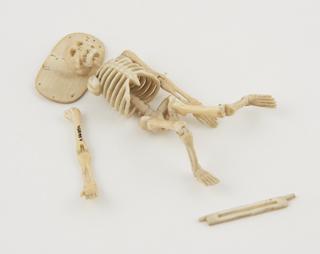 Ivory skeleton, originally suspended in a case, Europe, 1701-1800