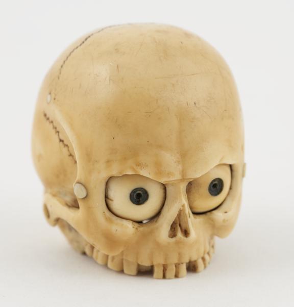 Ivory model of a skull