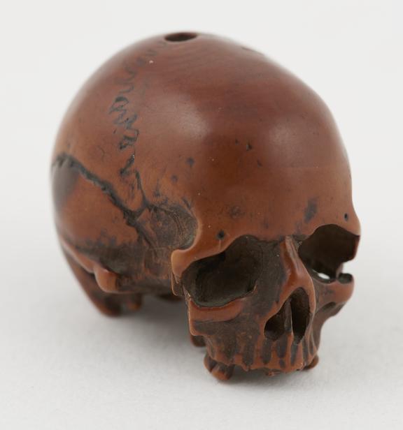 Wooden model of a human skull, without mandible