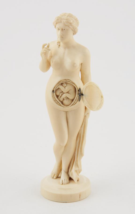 Carved ivory anatomical figure of a pregnant female